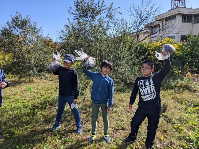 2022年10月31日日置小学校5年生のオリーブ収穫体験の写真