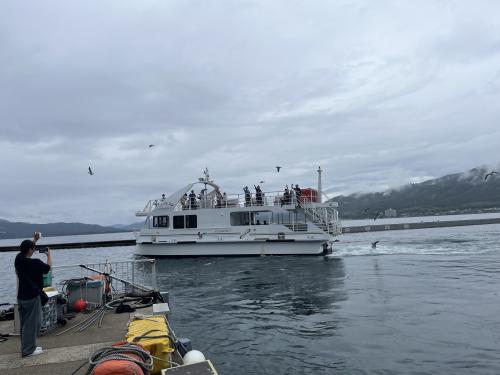 「第5回宮津田井海まちフェスタ