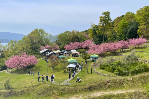青空と桜の下で開かれるマルシェの様子