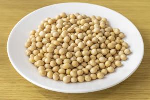 お皿に乾燥大豆が乗っている画像