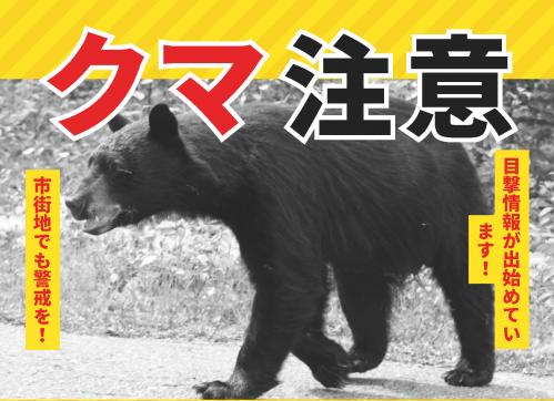 クマ注意
