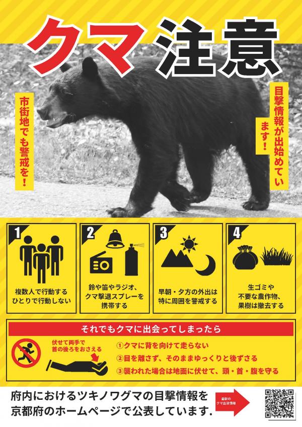 熊注意
