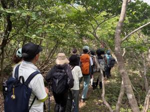 木々の中山道を行く様子