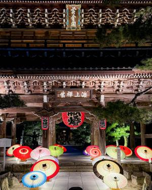 色とりどりの傘で飾られた知恩寺山門