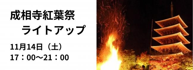 成相寺紅葉ライトアップ写真