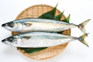 さば2匹画像