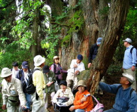 農山漁村情報