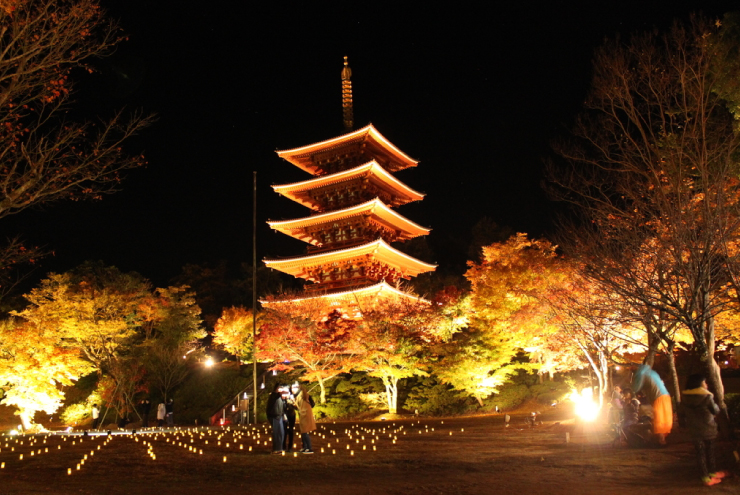 紅葉のライトアップ