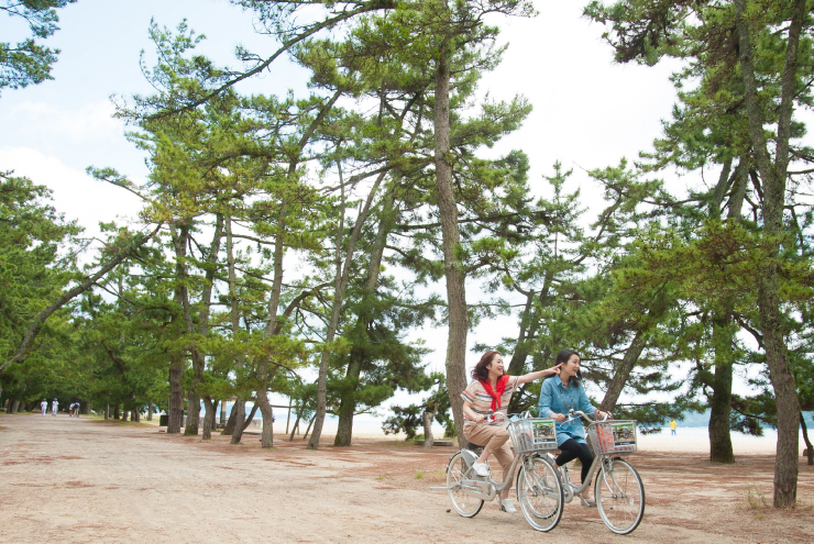 松並木　サイクリング