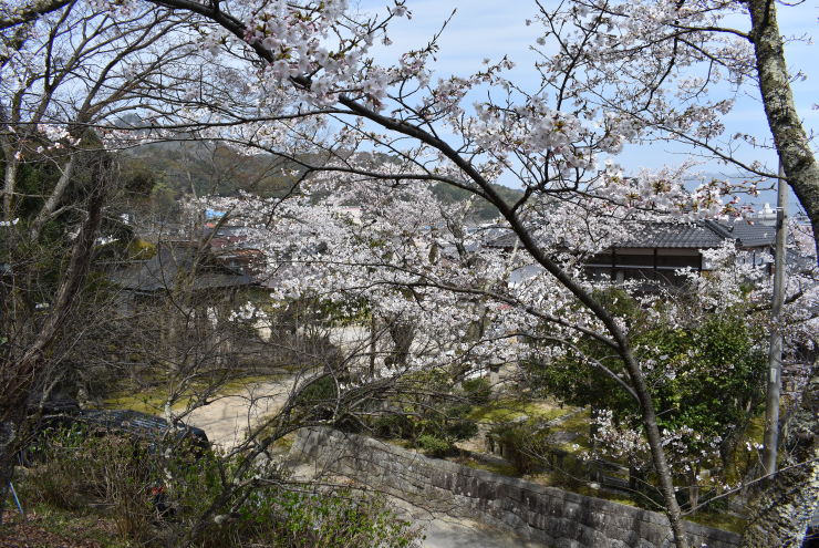 桜山天満宮からの眺め