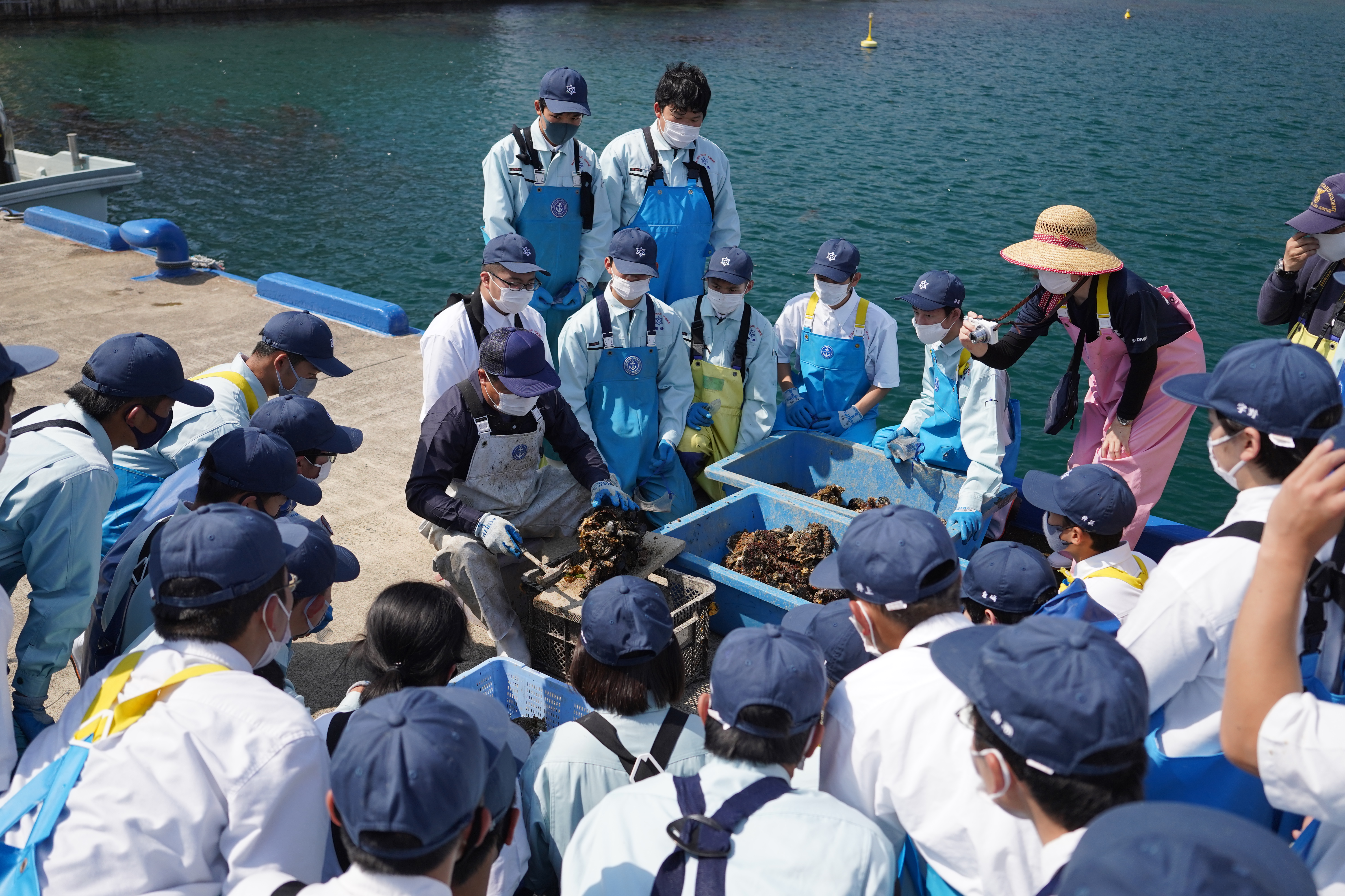 海洋高校岩がき1