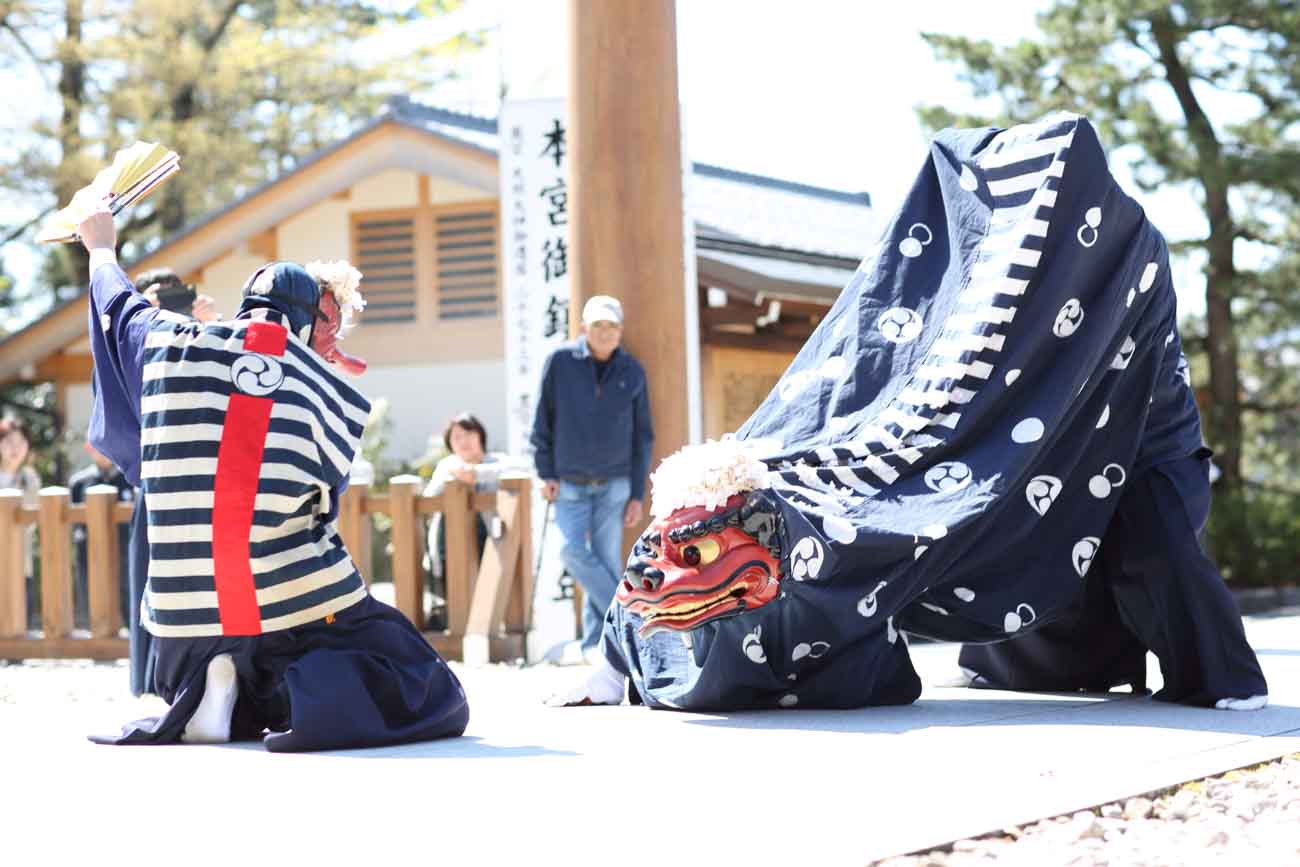 葵祭6