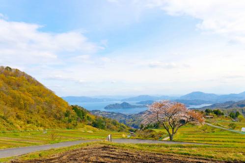 ２０年程前に購入しました棚田 山水河 75㎝額 水墨風景画 里山風景 故郷 農村 北陸地方 日本の原風景