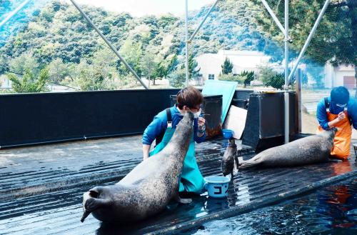 水族館23