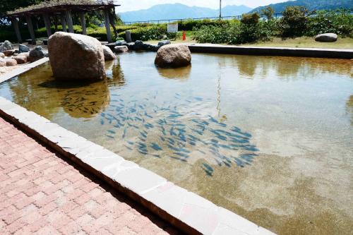 茶平　メダル　　丹後魚っ知館