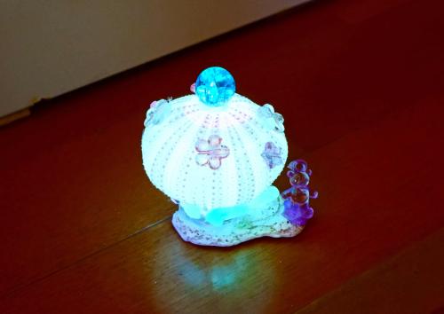 天橋立アクティビティ17