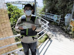 令和3年10月24日に丹波市の上畑さんが釣った49センチのウスバハギの写真