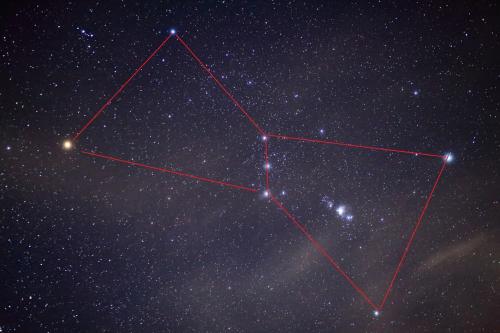 海星５