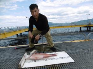 伊丹市の大石さん、本日の獲物は65センチのコブダイです