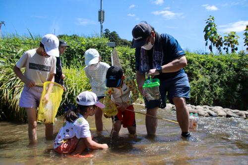 生き物探検