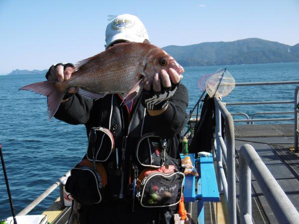 2022年11月7日に宮津市海洋つり場で釣った47センチのマダイの写真