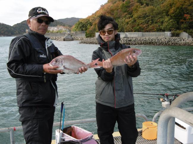 2022年11月27日に宮津市海洋つり場で南丹市の高木さん親子が釣った47センチの2匹の真鯛の写真