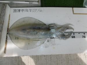 R5月6日.10釣果