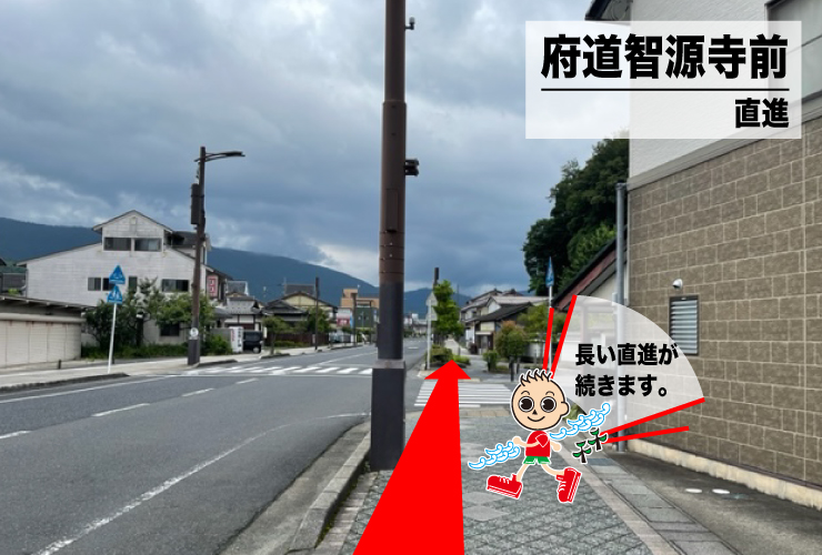 府道智源寺前