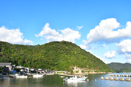 城山と大島集落