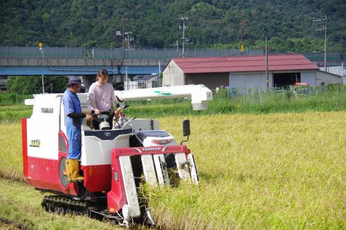 大学生らが農業体験！