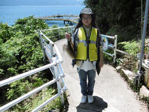 2024年7月7日に宮津市海洋つり場でshohkoさんのパパが釣りあげた胴長28センチのコウイカの写真