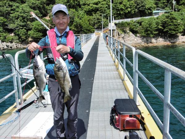 2024年8月2日宮津市海洋つり場で釣れた魚の写真