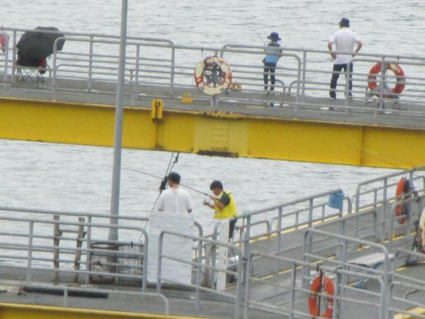 2024年7月15日宮津市海洋つり場の海の日こども海つり体験会の写真⓪
