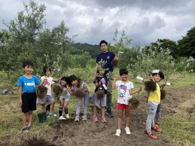 令和5年6月26日に日置小学2年生がオリーブ苗木の植樹を始めるところの写真