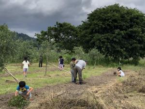 令和5年6月26日に日置小学2年生がオリーブの植樹穴ほり