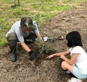 令和5年6月26日に日置小学2年生がオリーブ苗木を植樹中の写真