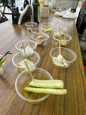 2024年2月25日冬の宮津満腹祭でのオリーブオイル試食品