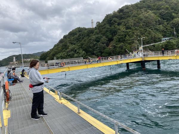 10月20日の子ども海つり体験会の日に私はアジを釣りました