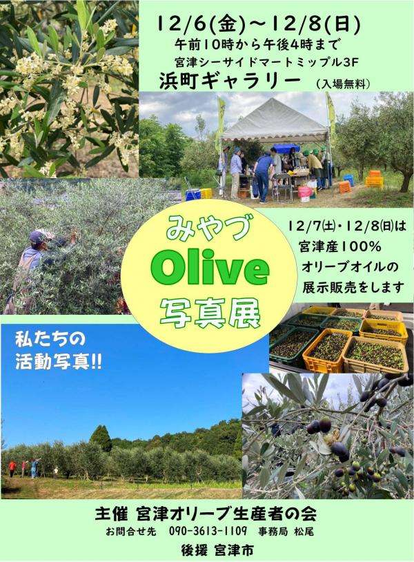2024年12月6日開始の宮津オリーブ写真展のチラシ
