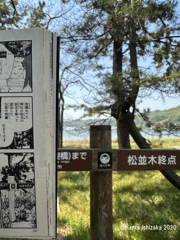 松並木終点