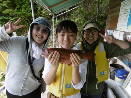 R7.6.07釣果　京都市の谷川さん　コブダイ34センチ釣れました