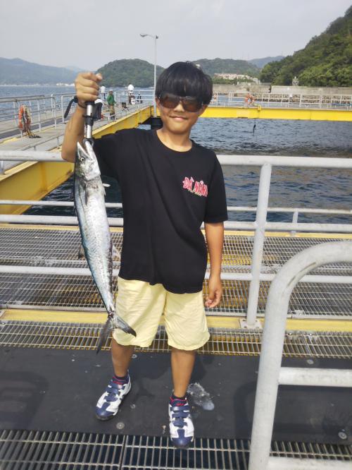 R7.6.22釣果　宇治市の今井くん　サゴシ70センチ