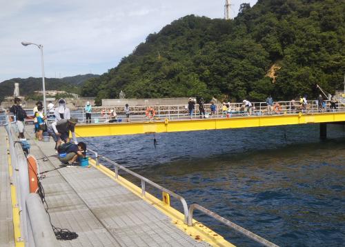 釣り体験