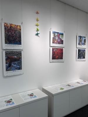 展示３