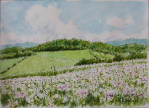 あわじ花さじき