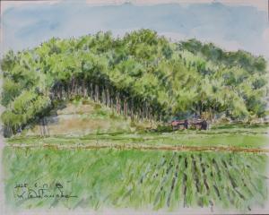 初夏の頃（惣）