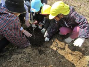一緒に植えました！