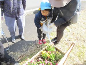 きれいに咲きますように❤