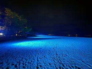 天橋立ブルーライトアップの写真